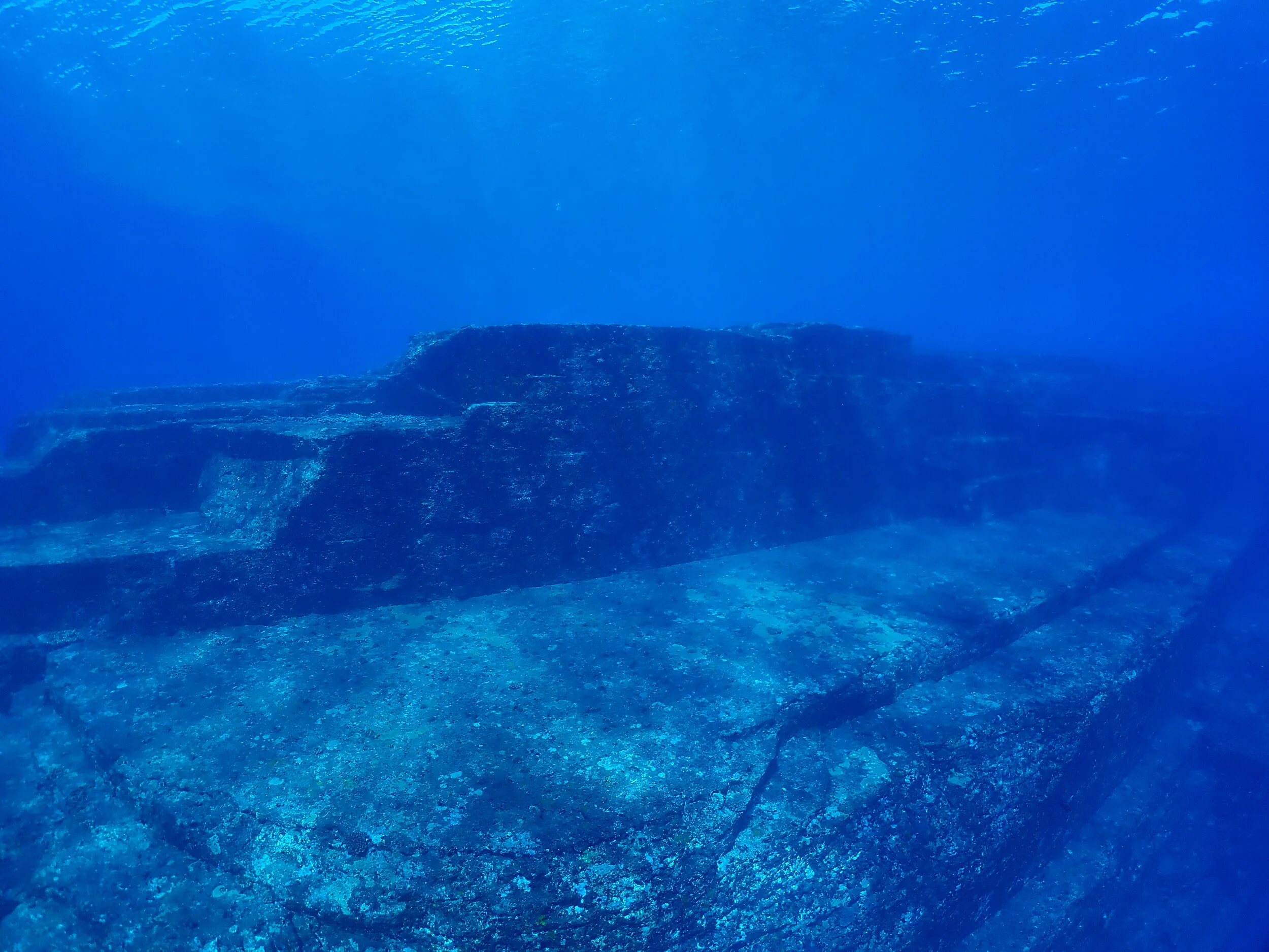 PA110392.JPG