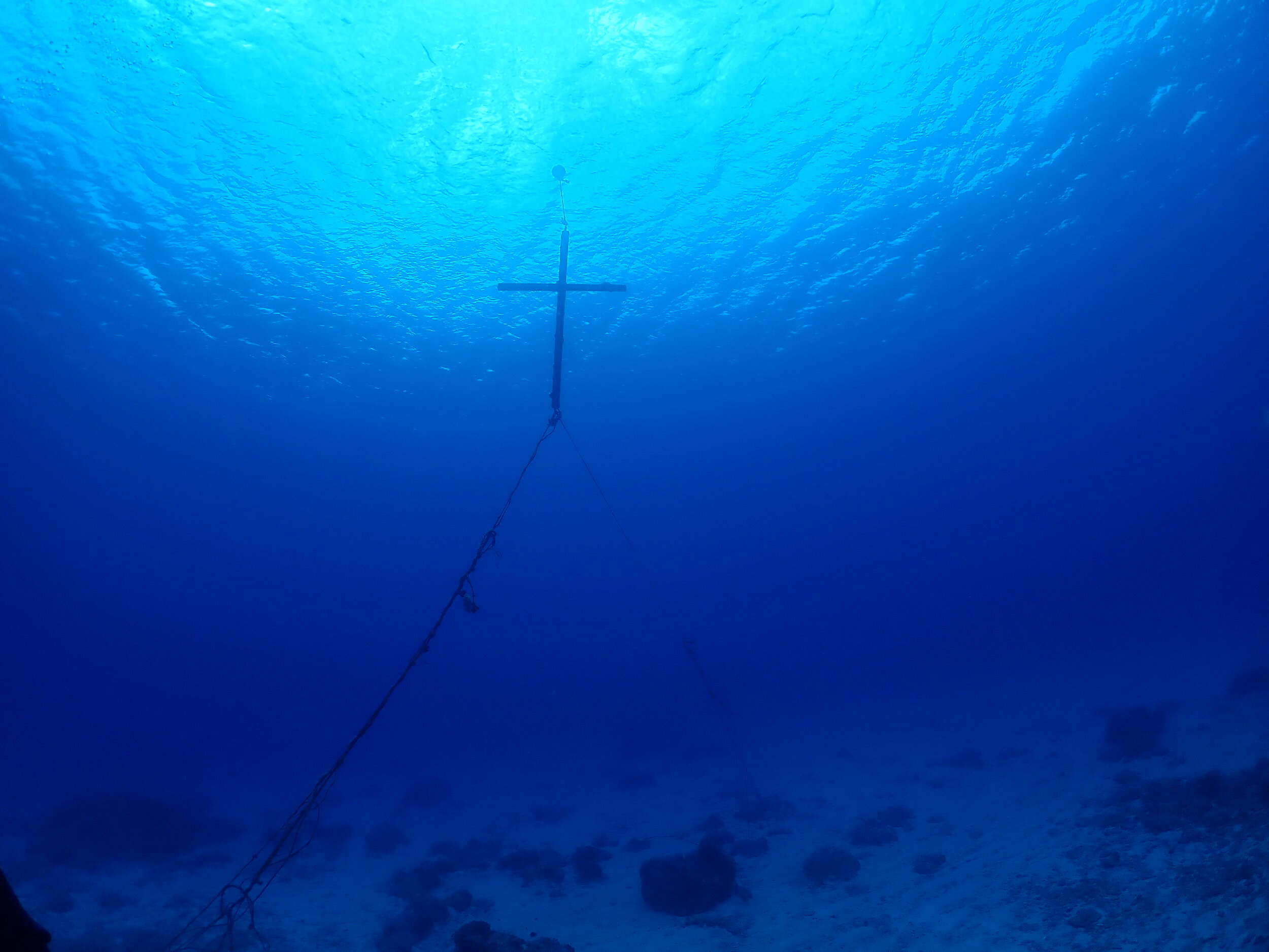 PA271104.JPG
