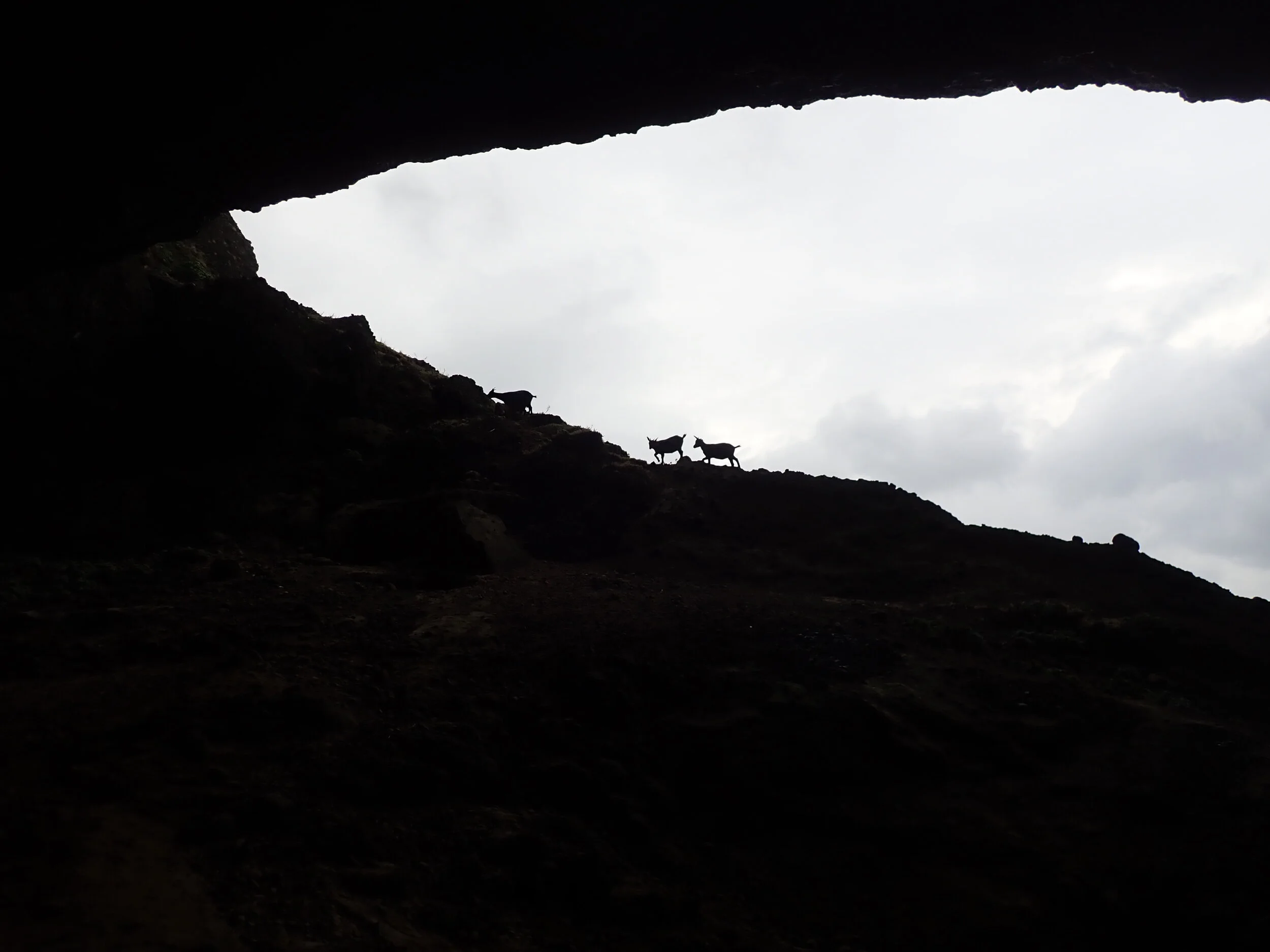PA301457.JPG