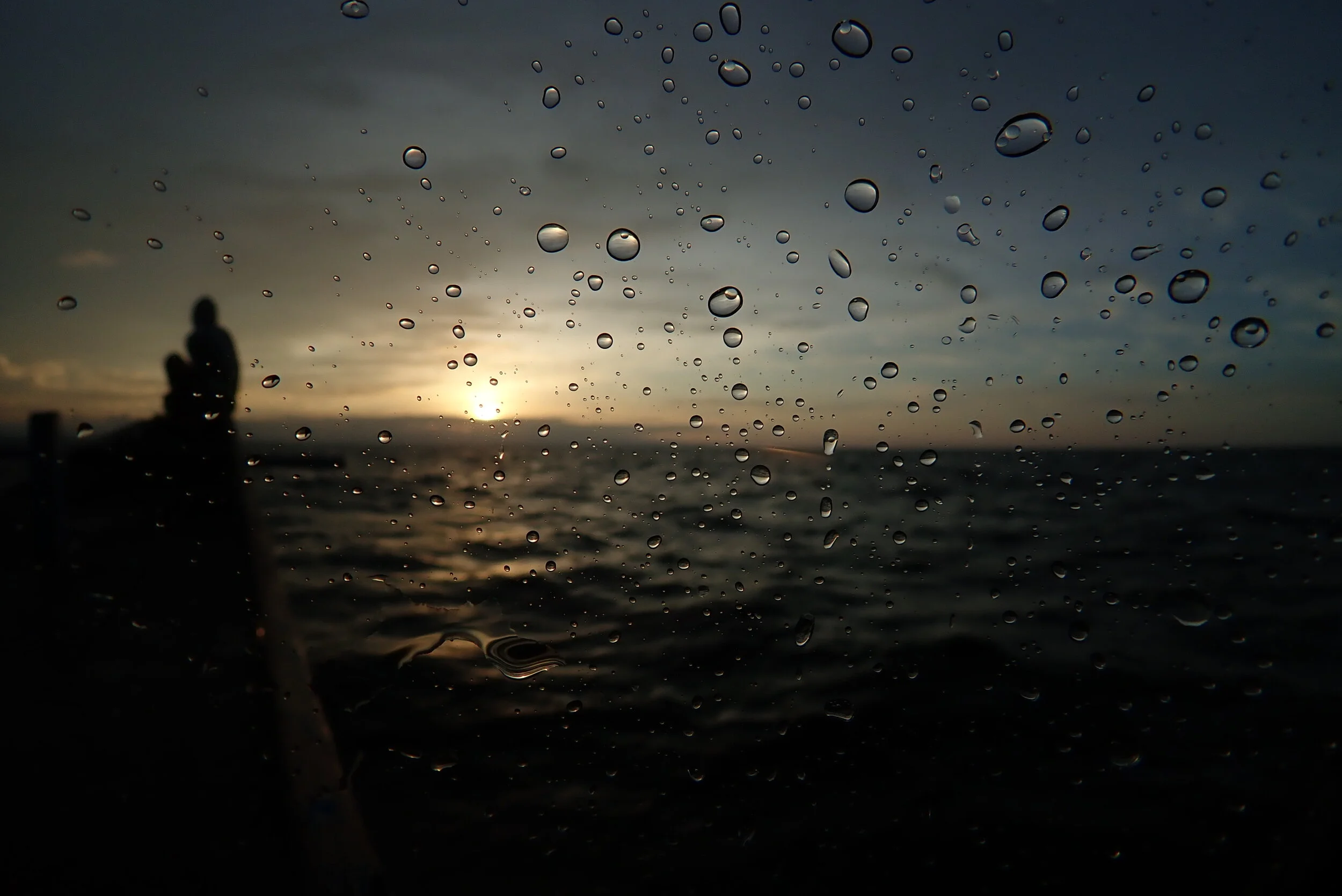 PB140132.JPG