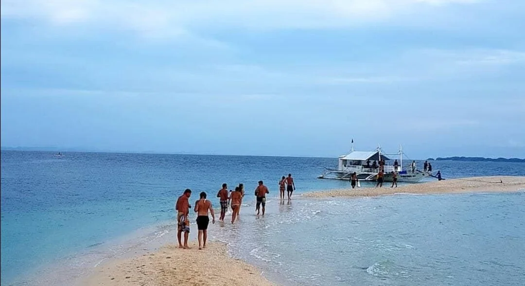 WhatsApp Image 2019-11-17 at 23.17.53.jpeg