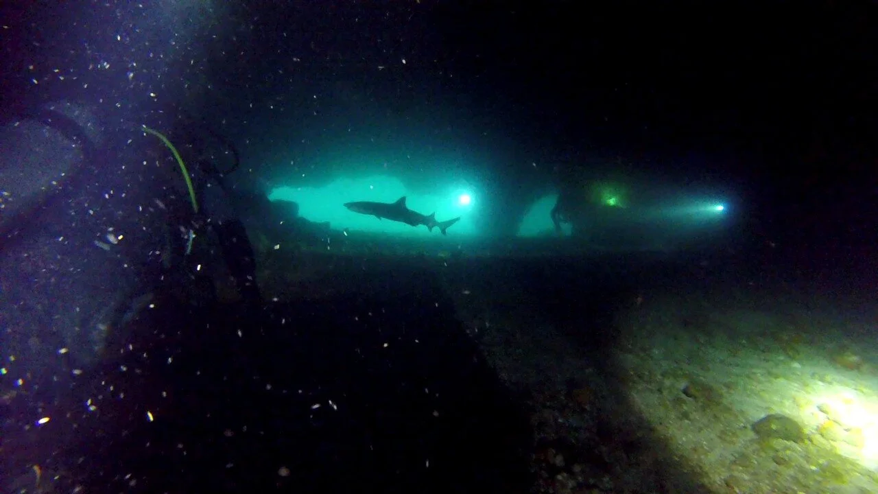 WhatsApp Image 2019-11-18 at 11.18.04.jpeg