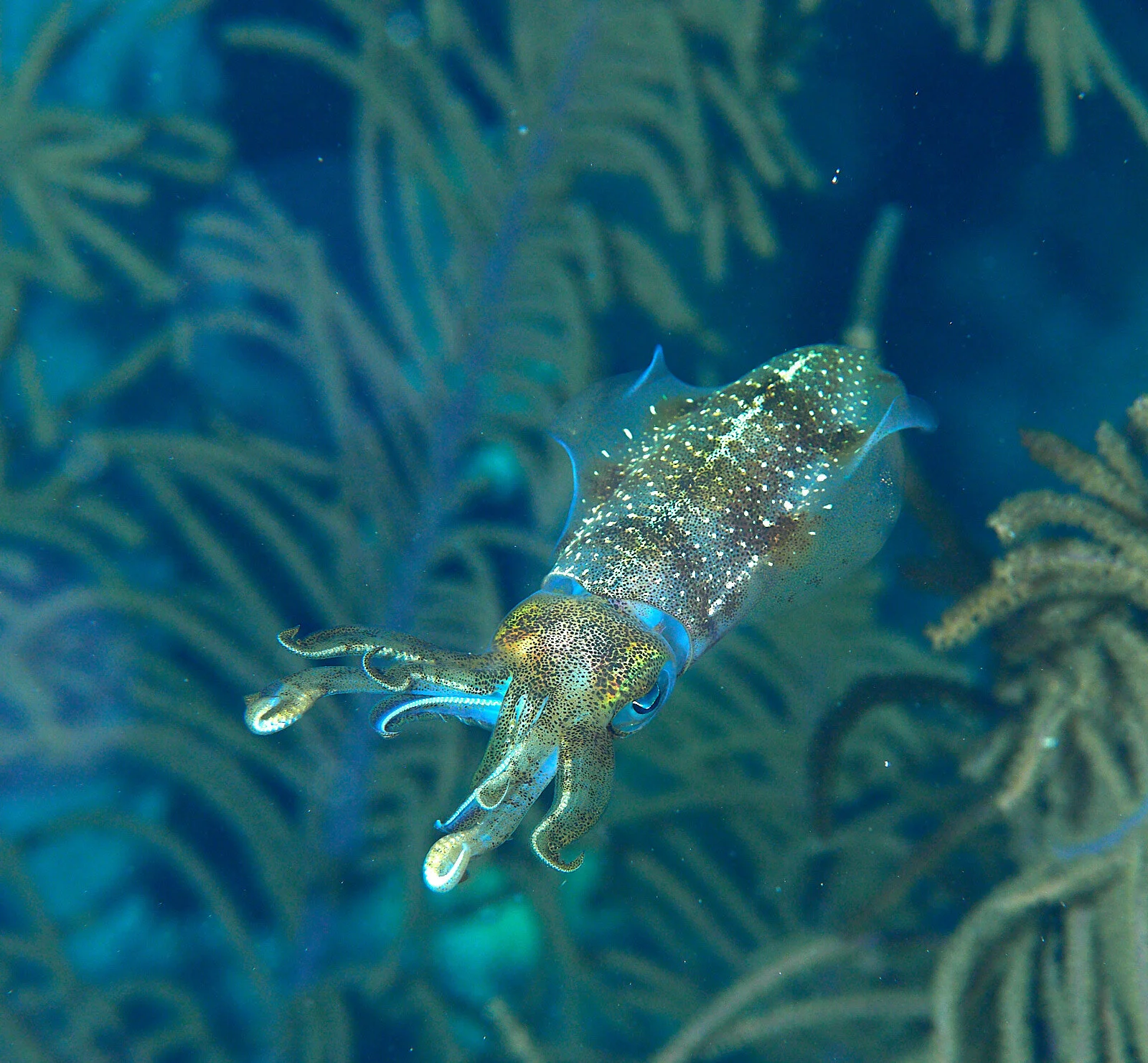 PB251692 (JPEG sRGB 1600px for web) - Copy.jpg