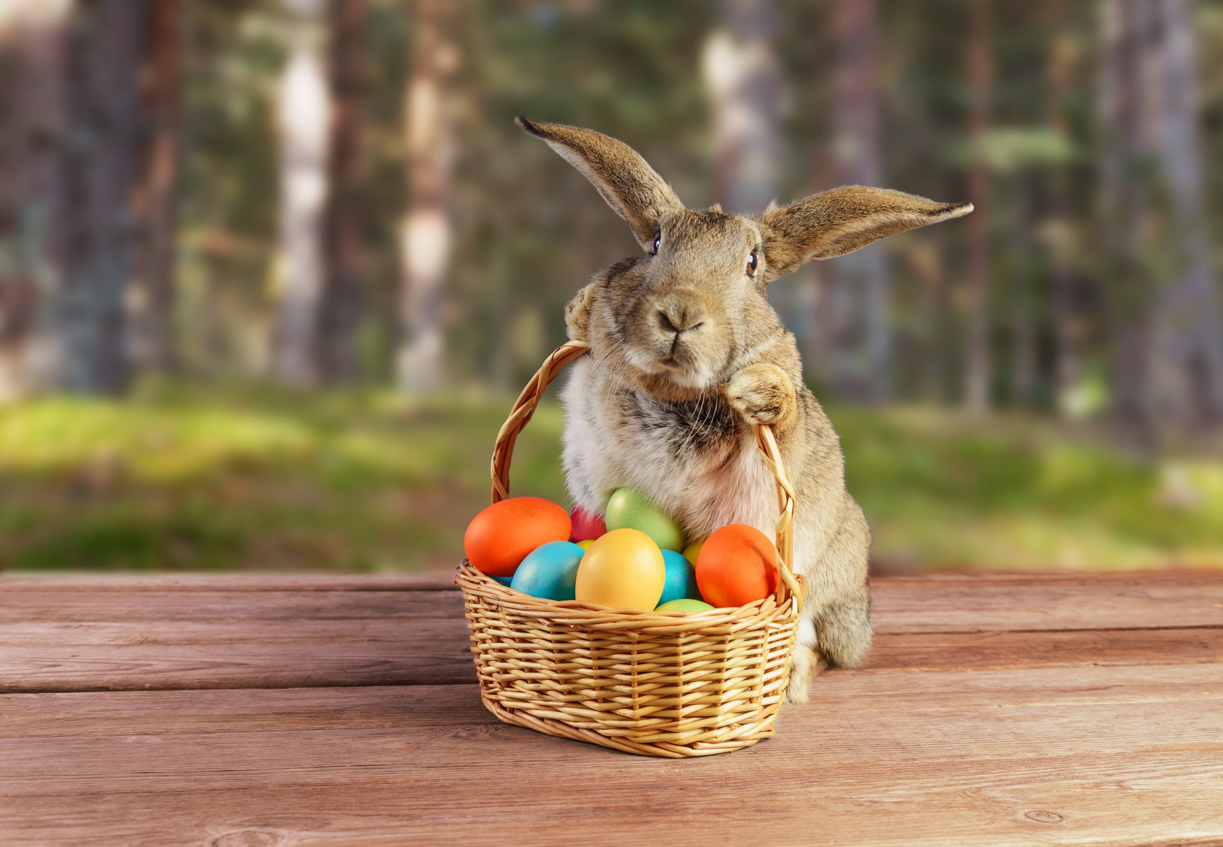 Hmmm...Easter.