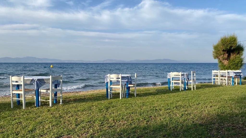 Update from the Island but different Island. 