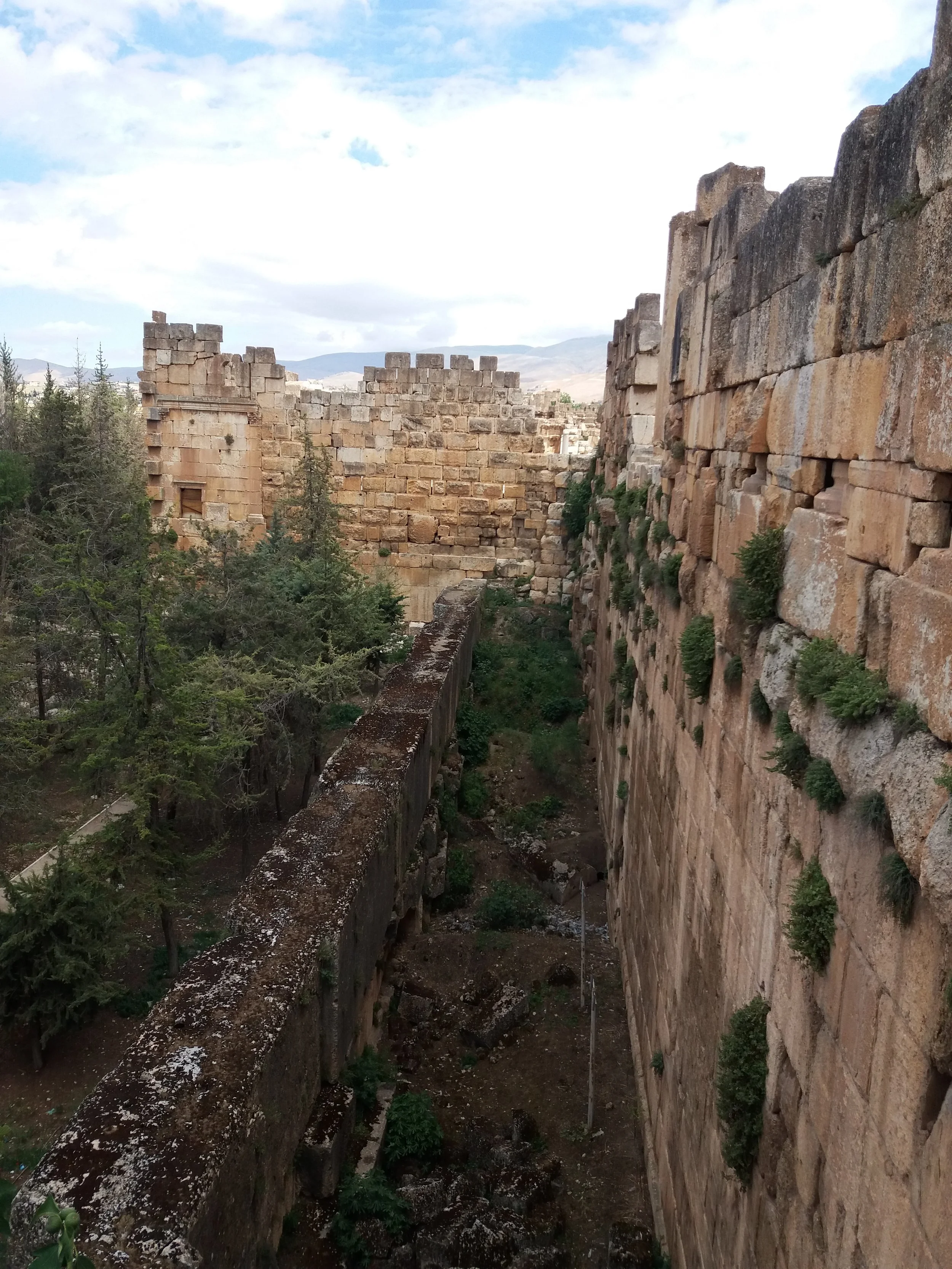 20180508_131927.jpg