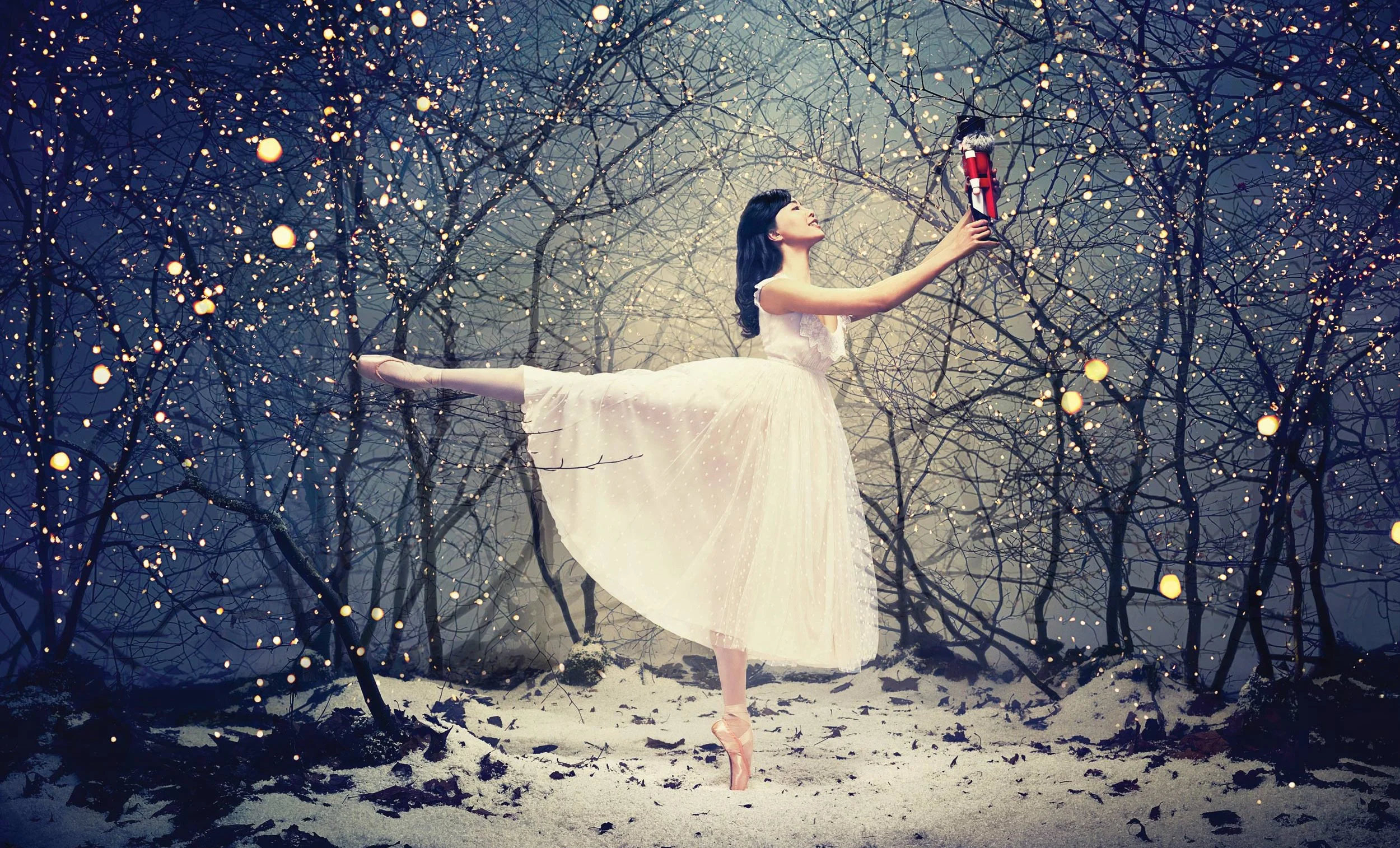 Nutcracker