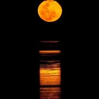 Broome's Staircase to the Moon "Out of this world" as quoted on Trip Advisor