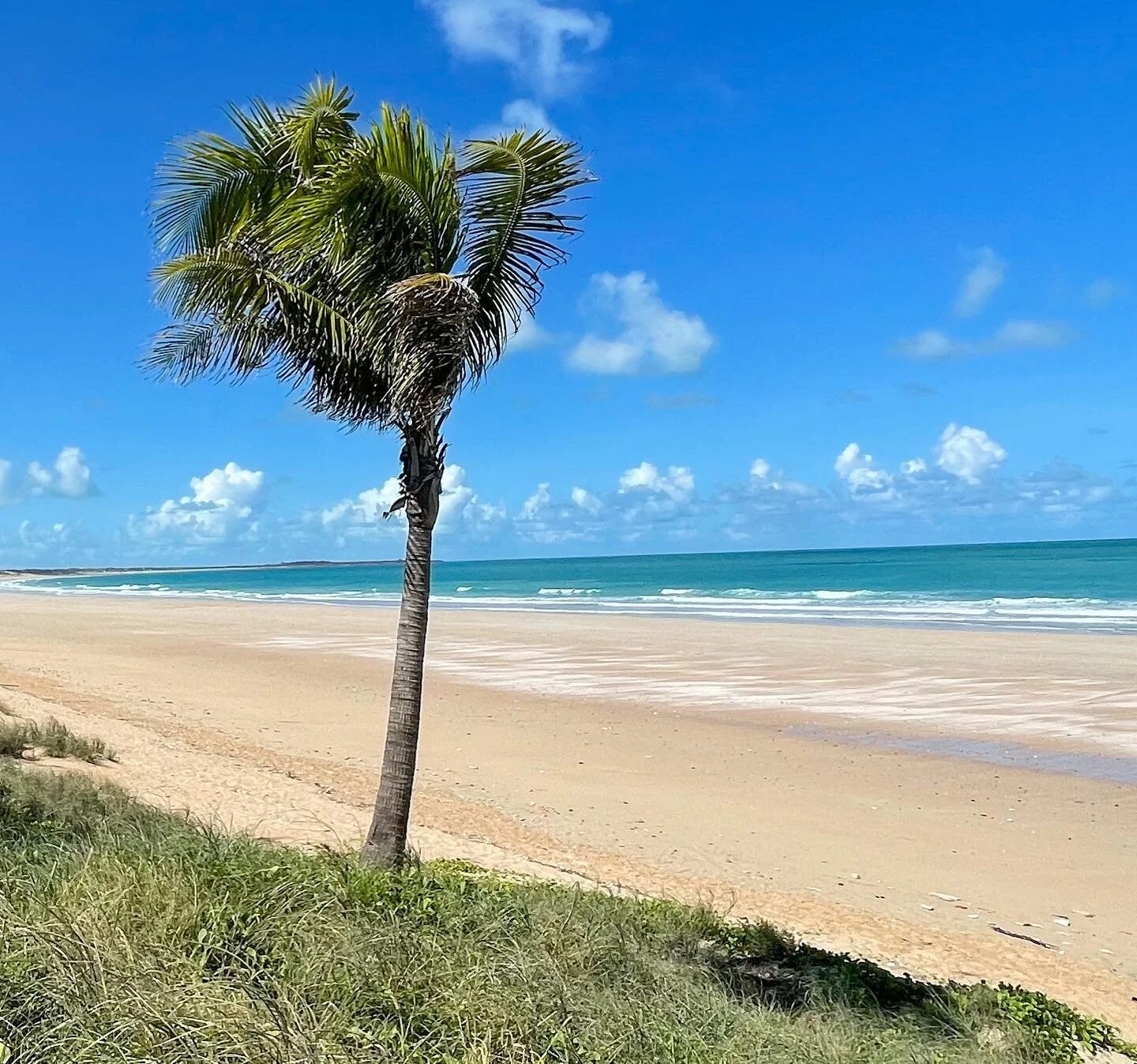 Dreaming of getting away?
It's the perfect time to start booking and planning your Aussie getaway!

There's so much to experience and such perfect weather to enjoy in Broome, Australia.

#aussiebucketlist #holidayherethisyear #wanderoutyonder #holidays #unwind  #adventureawaits #outbackaustralia #beachvibes #happyhumpday #happyholidays