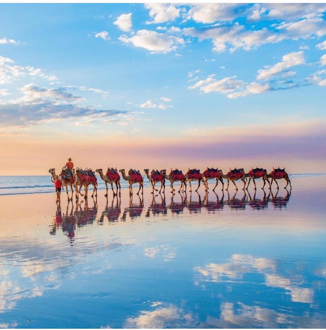 Abby Murray Camels on Cable Beach Sunset Broome and Around Tours jpg.jpg