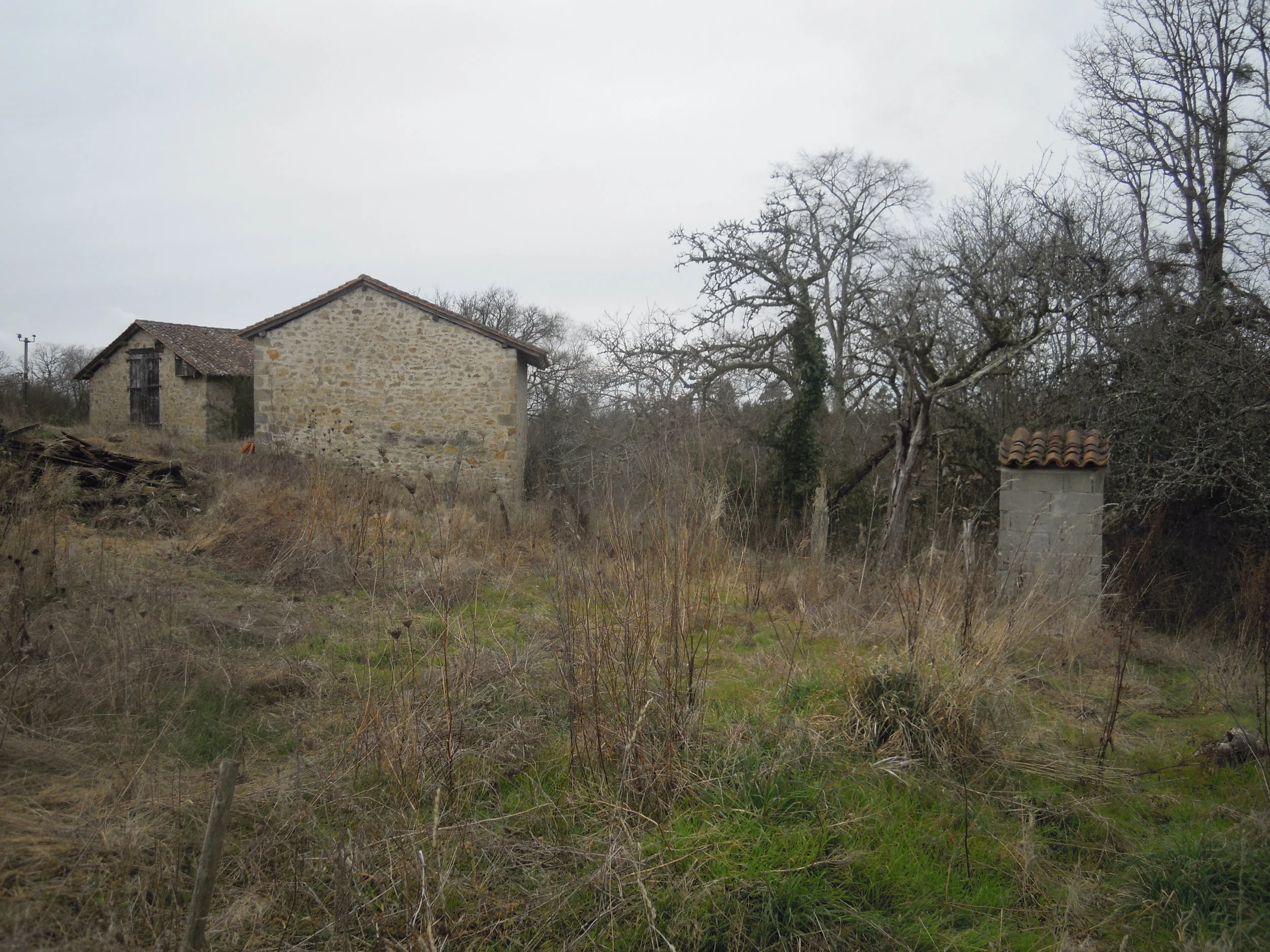 DSCN3086.JPG