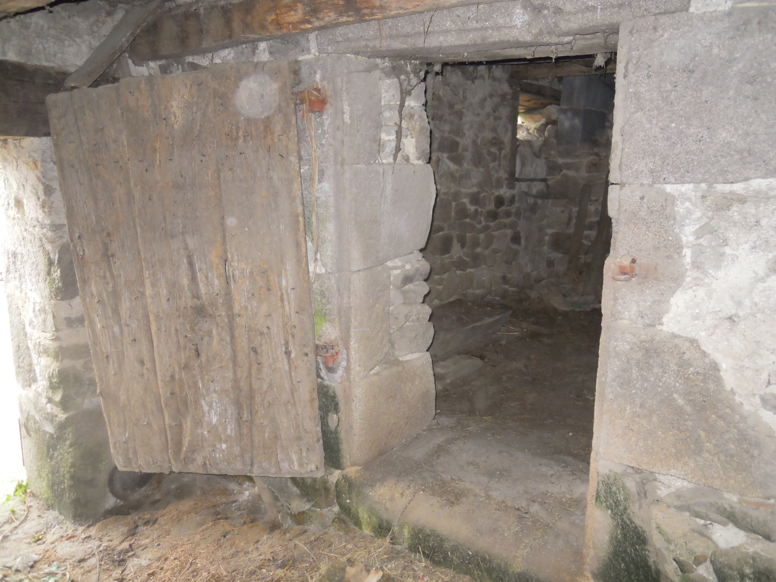DSCN3096.JPG