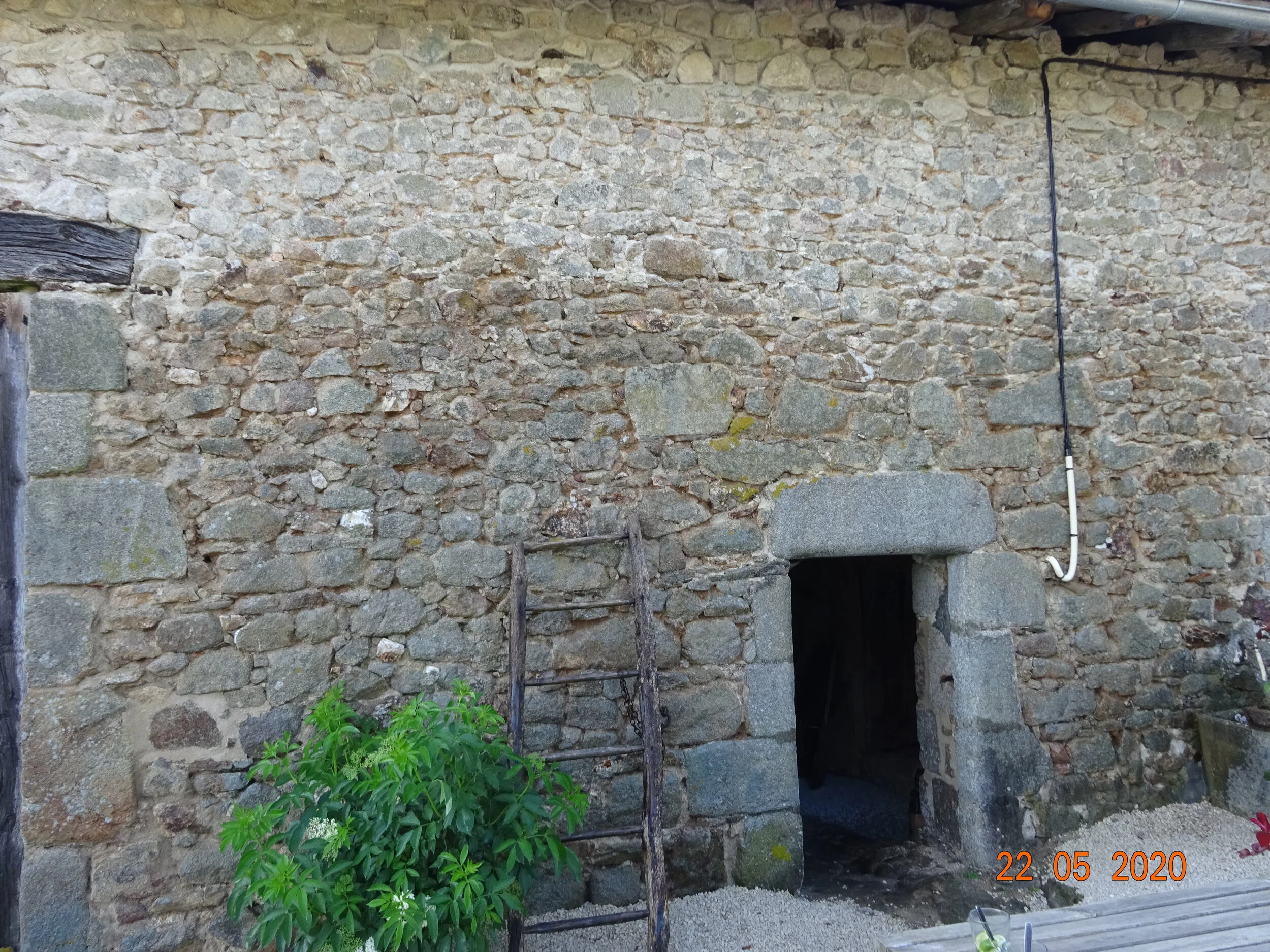 DSC01753.JPG