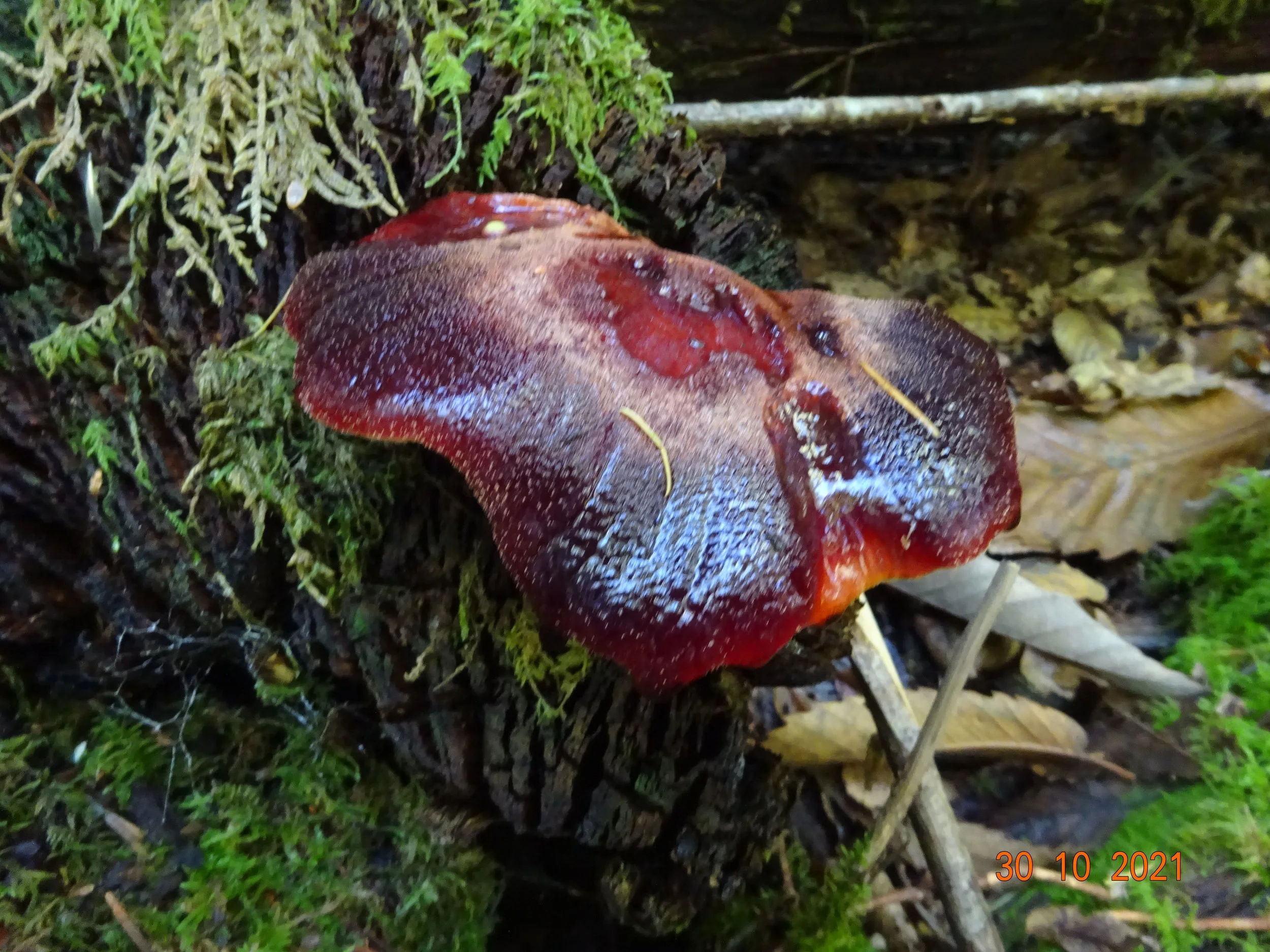 The Beauty of nature!