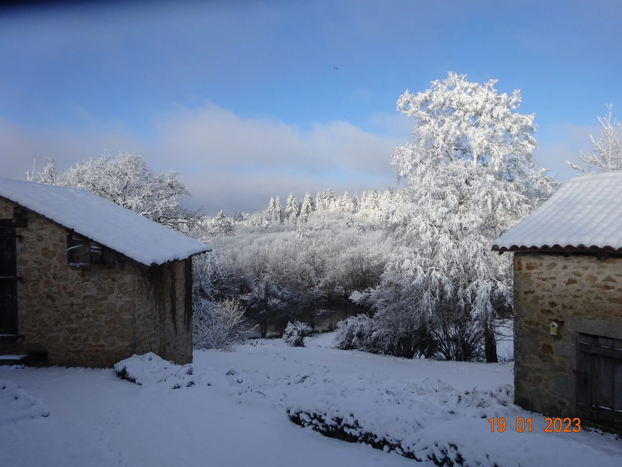 DSC03804.JPG