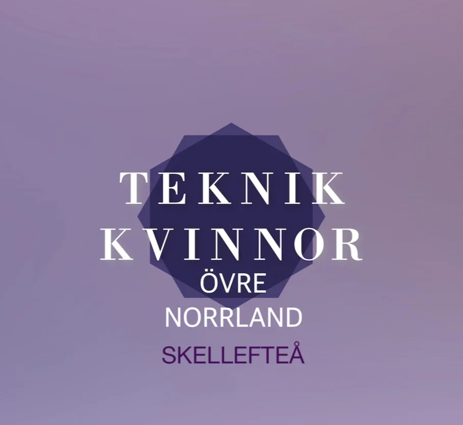 Skellefteå - Lunchträff