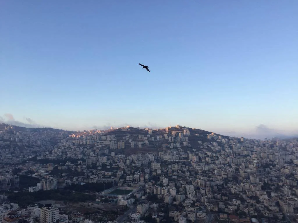 Café rencontre avec FFIPP Paris