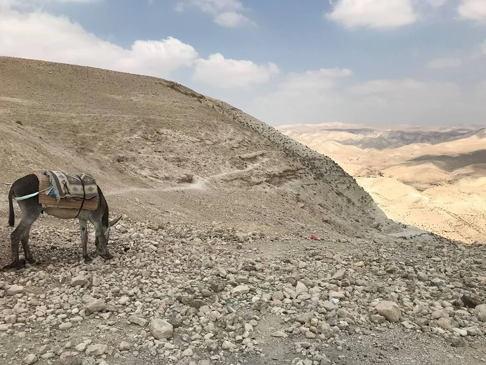 Conférence d'Adalah sur la loi sur "l'Etat-nation" israélienne