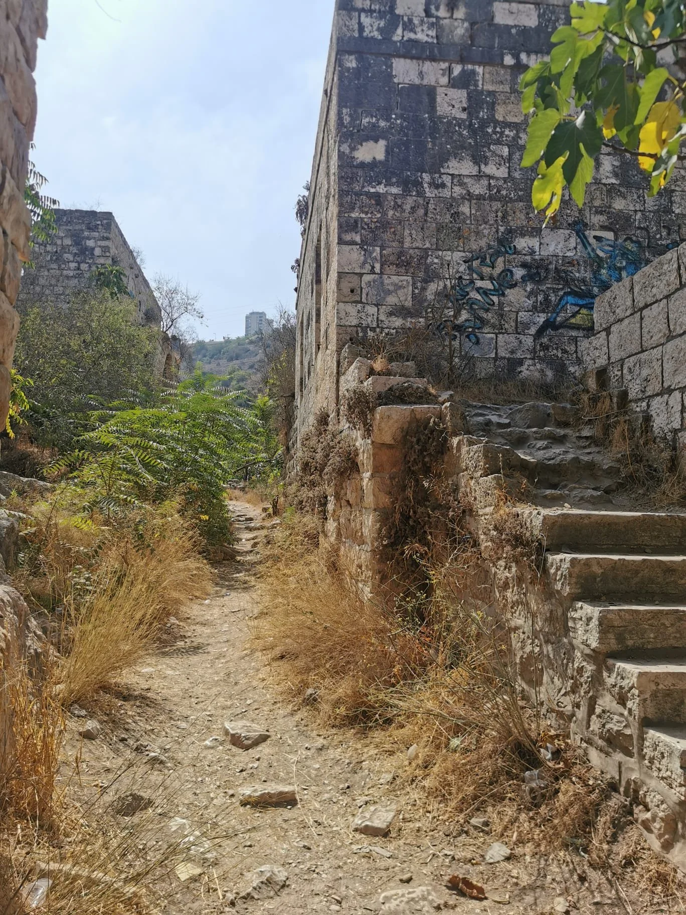 WhatsApp Image 2024-08-14 at 22.15.26.jpeg