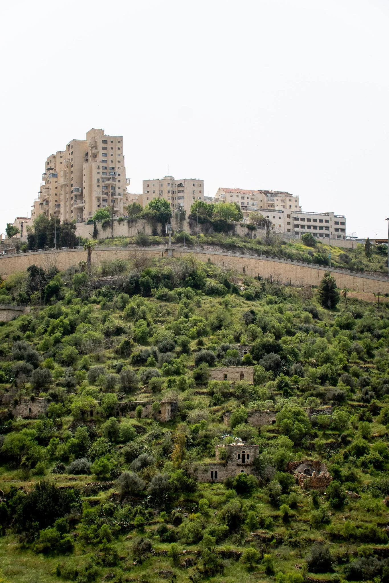 Lifta and Yafa: Standing Through the Nakba