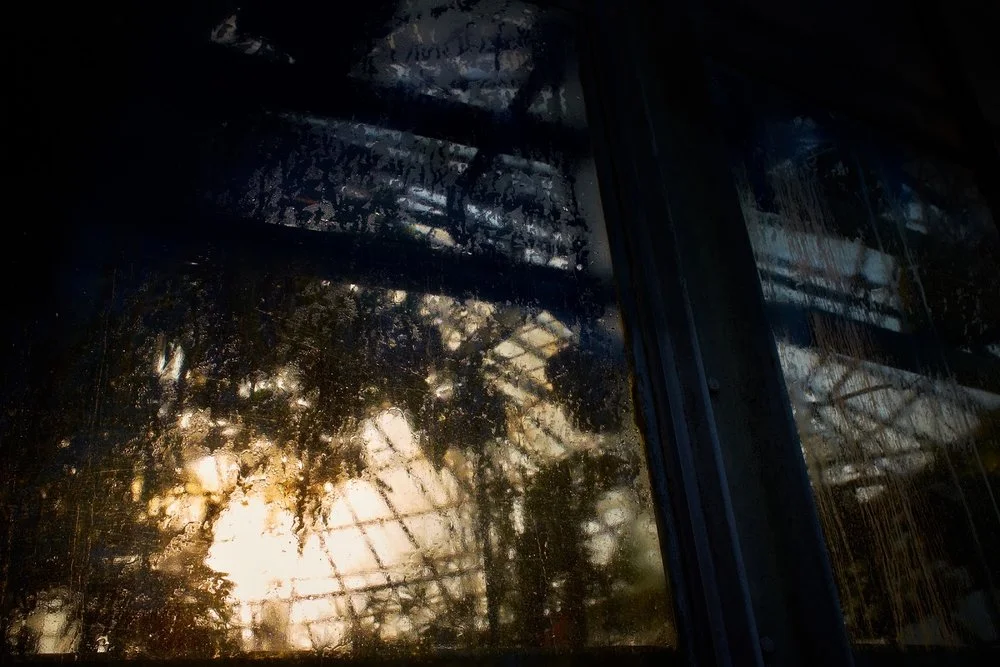 Leuven, The Botanical Garden