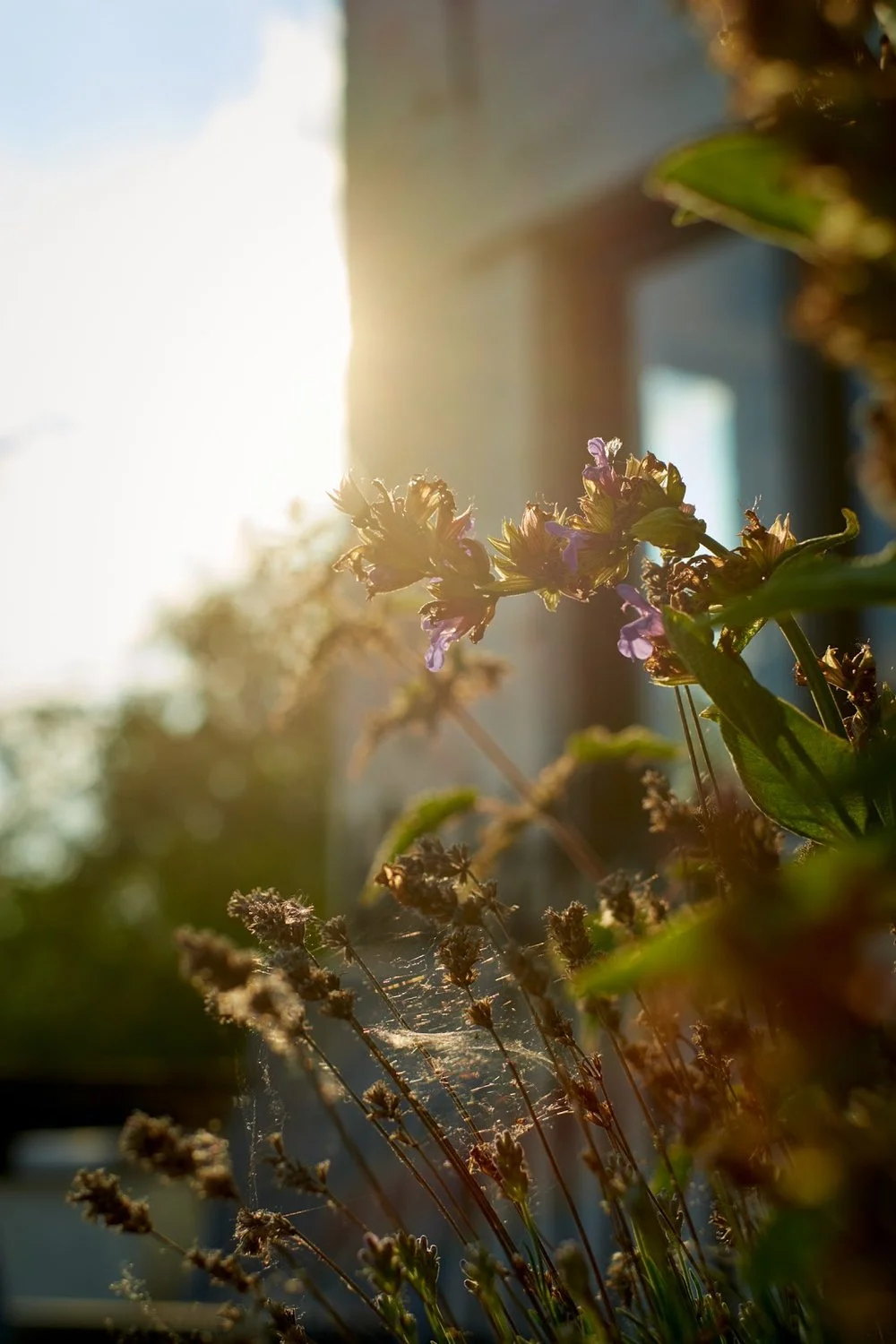 Light makes photography