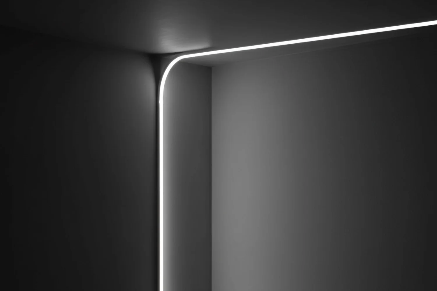 NEON FLEX 1010 (back bending)