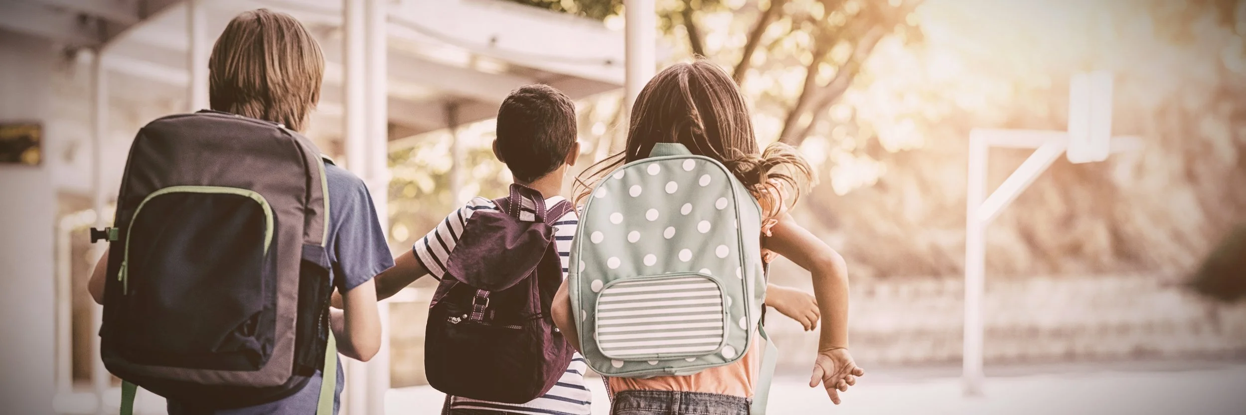 Increase Student Enrollment With Targeted Direct Mail Marketing: A Visual Explanation