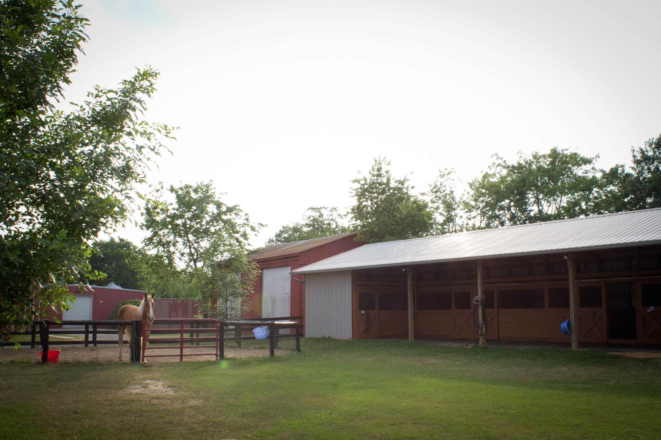 In-patient barn and paddocks