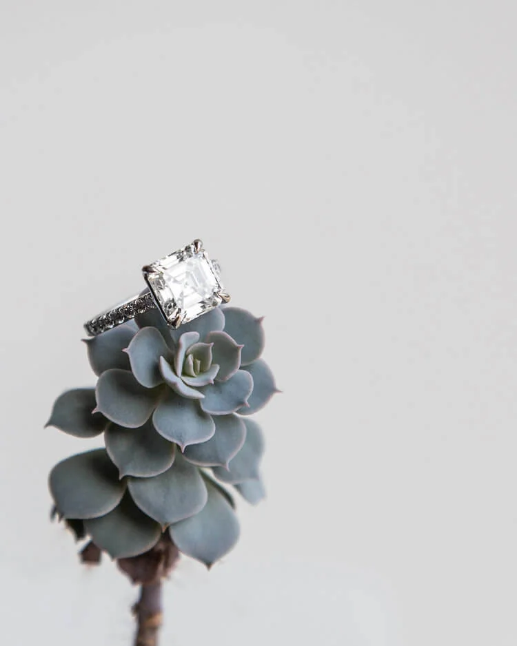 bogo-jewelry-ring-on-succulent.jpg