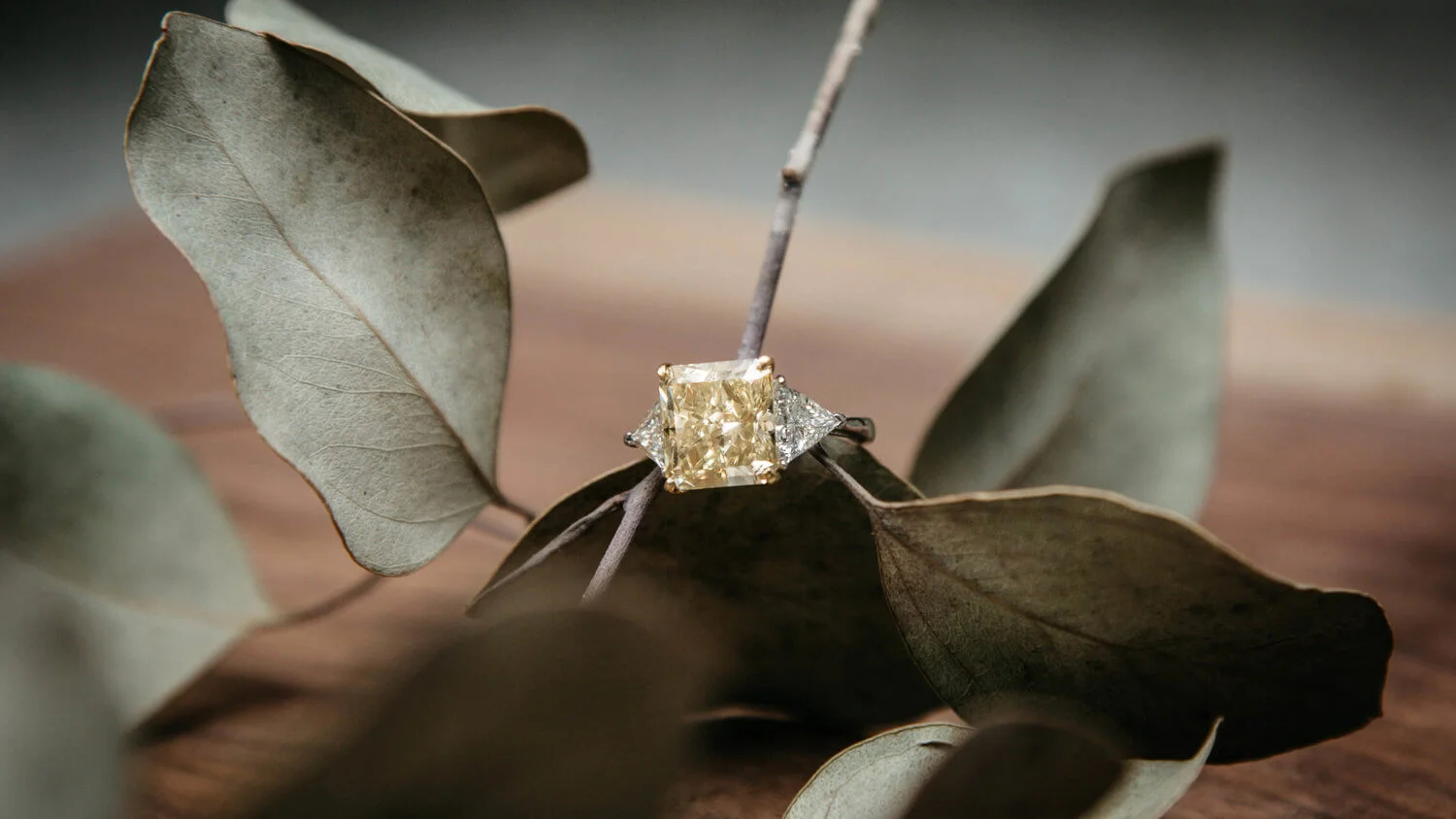 bogo-jewelry-photography-ring-leaves.jpg