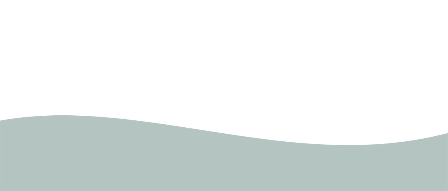 olimi-bottom-banner.png
