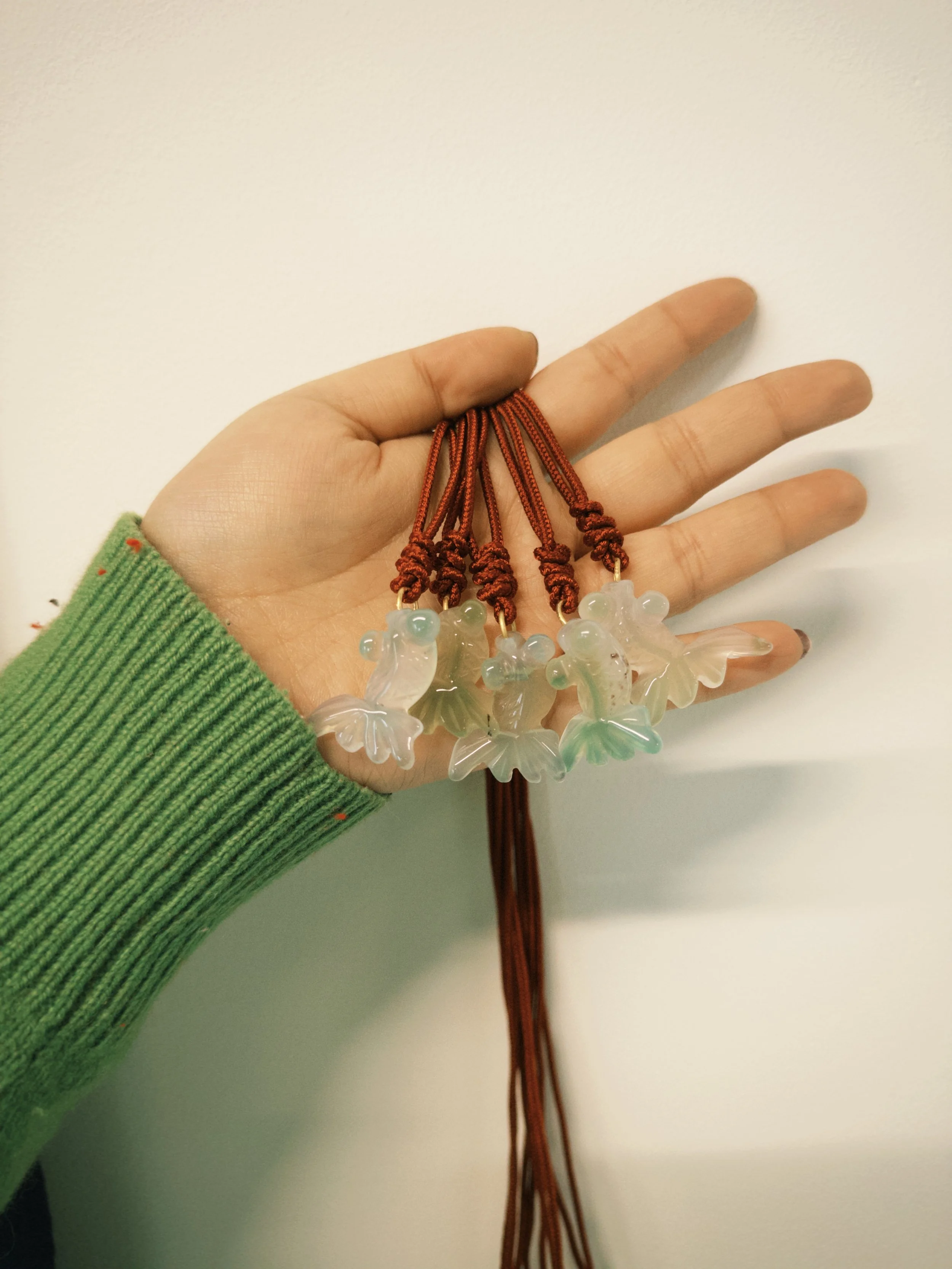 fxn 2024-12-20 130149.782.JPG