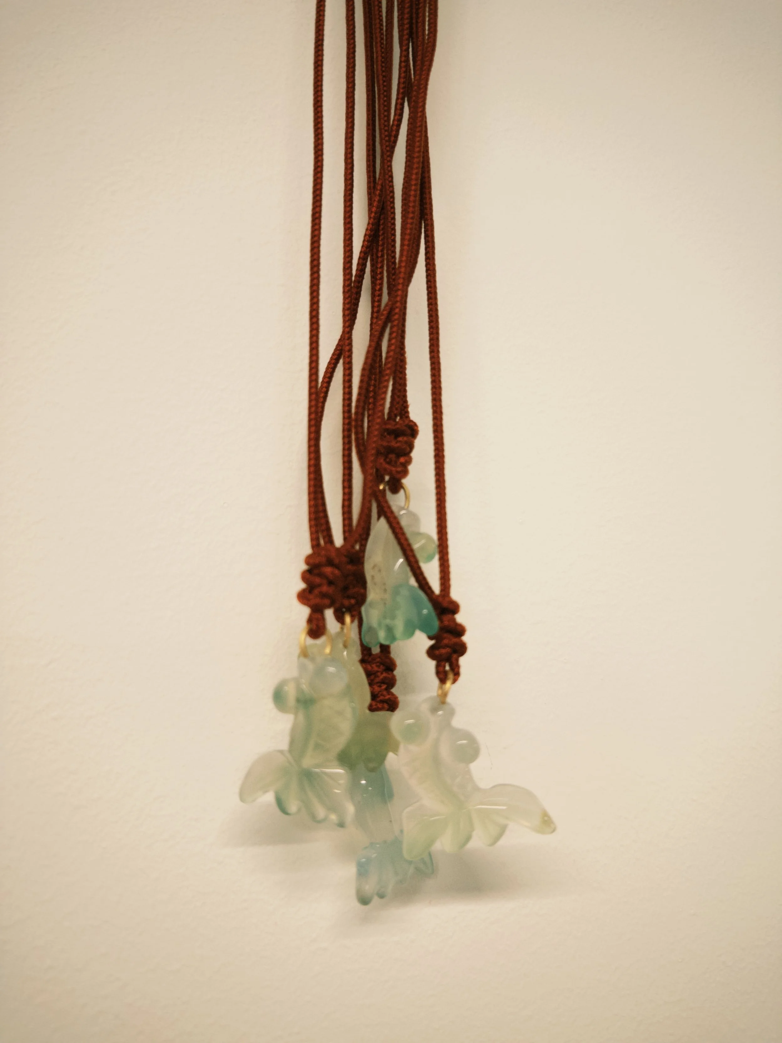 fxn 2024-12-20 130501.415.JPG