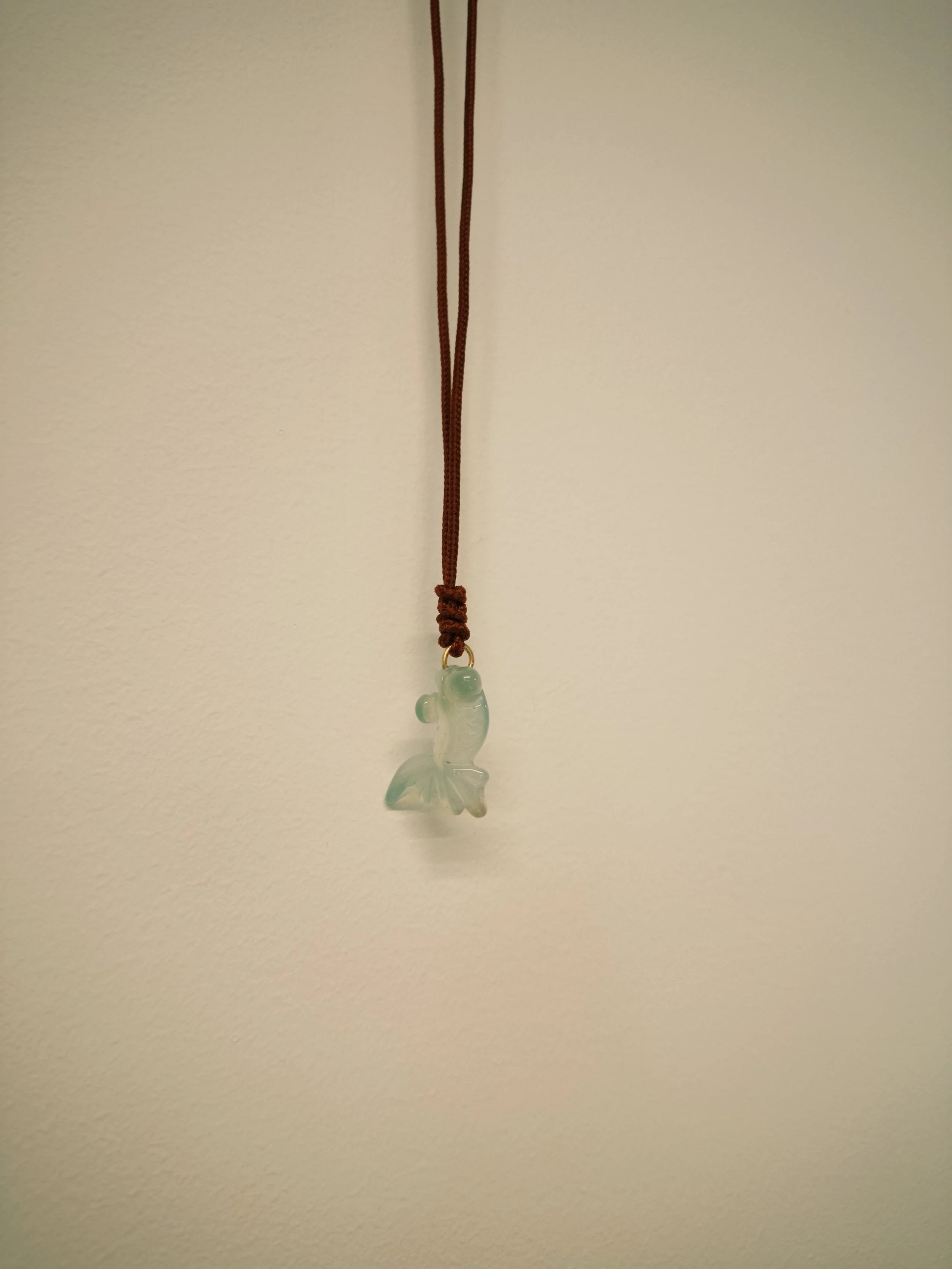 fxn 2024-12-20 130250.942.JPG