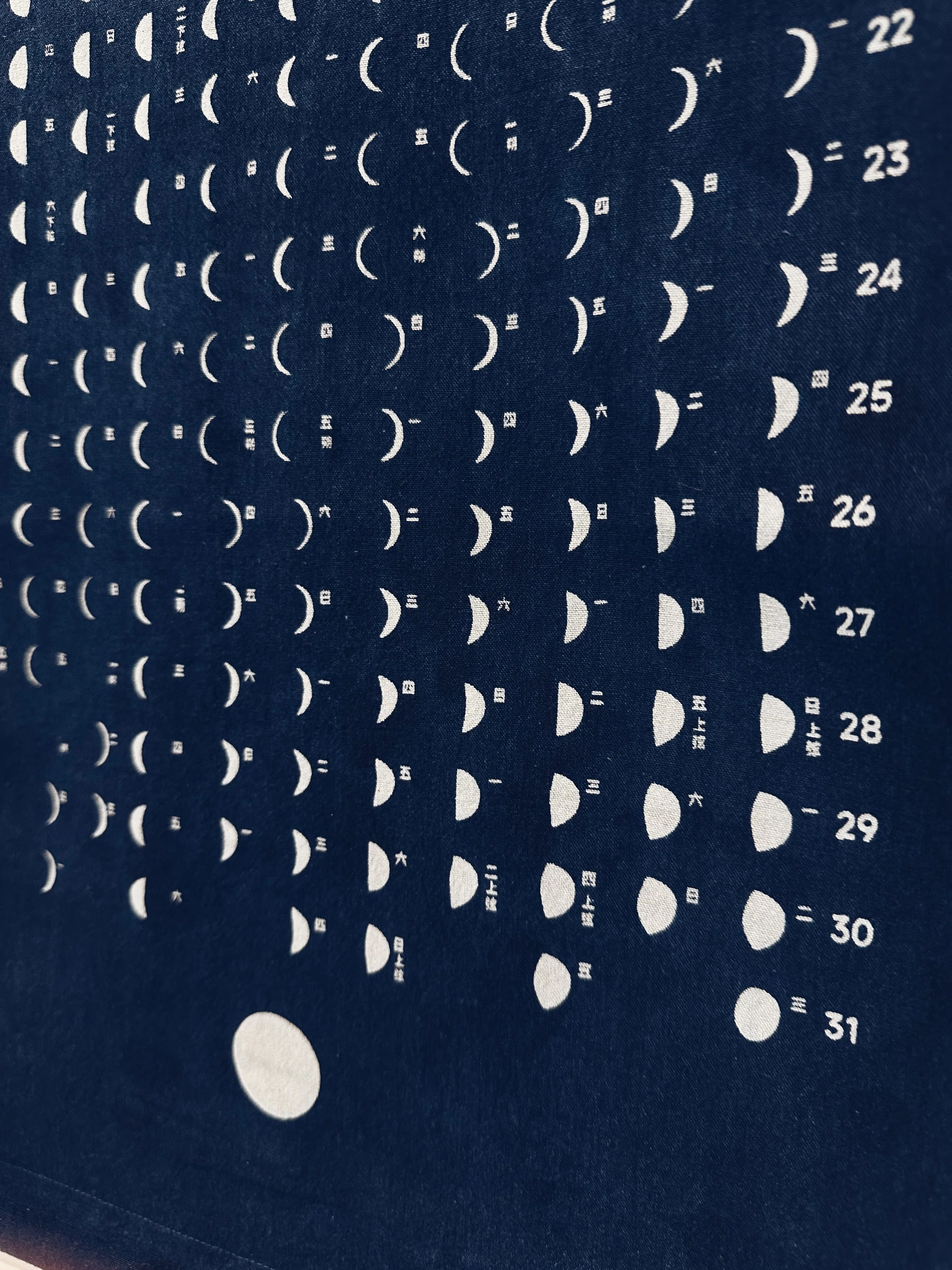 2025 Indigo dyed Moon calendar