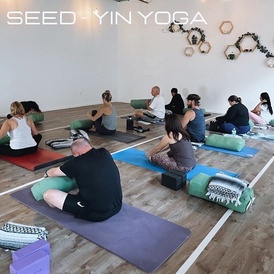 When you take our Seed - Yin Yoga class, you will be guided through a series of seated or reclined postures that you will be in for a few minutes each, creating a space of deep stretching and relaxation. 😌

We have multiple props in studio for you t