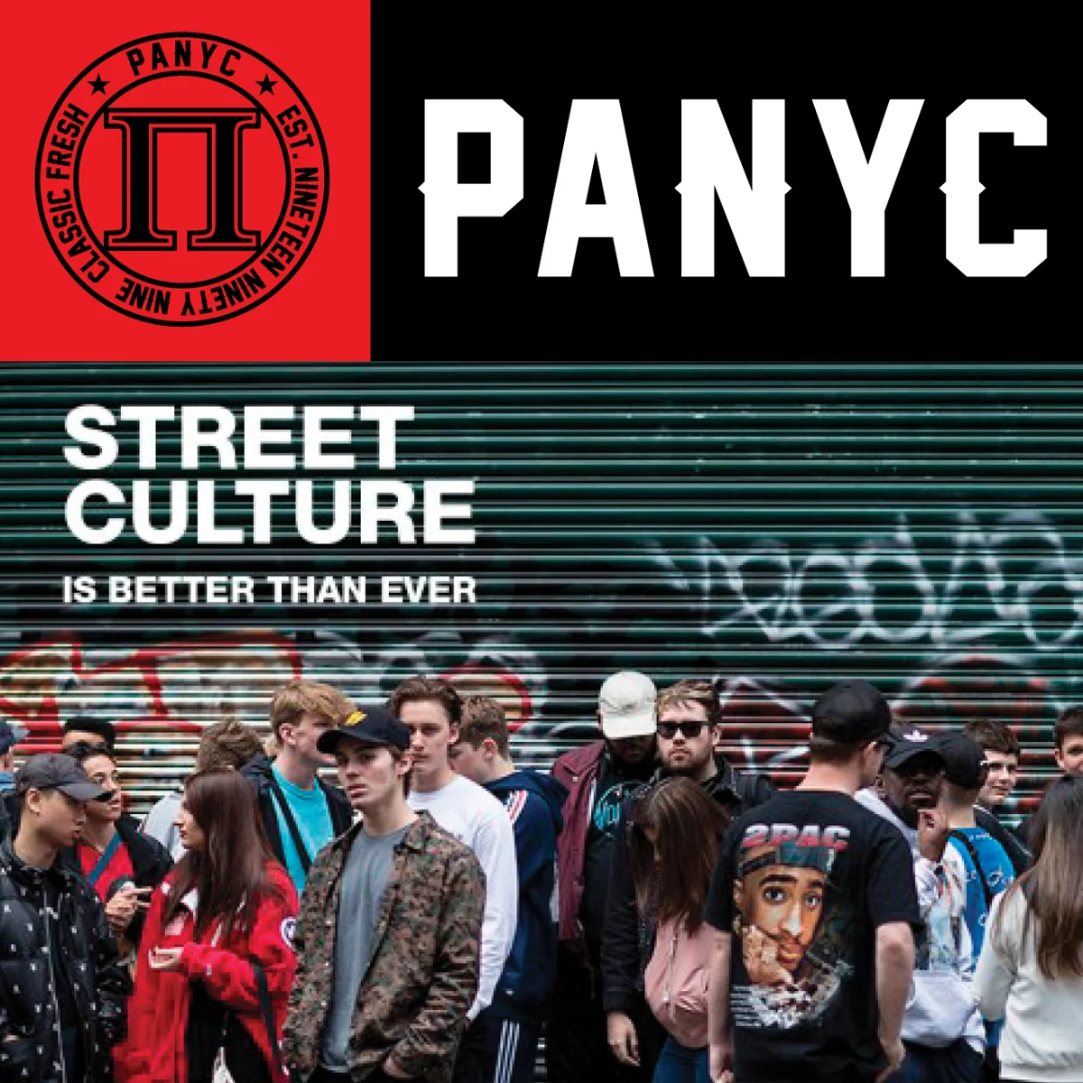 PANYC_squarespace_IMAGE.jpg
