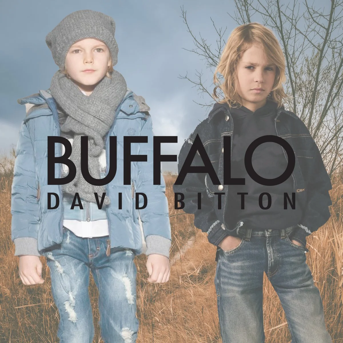 BUFFALO_WEB_SQUARE_4x4.jpg