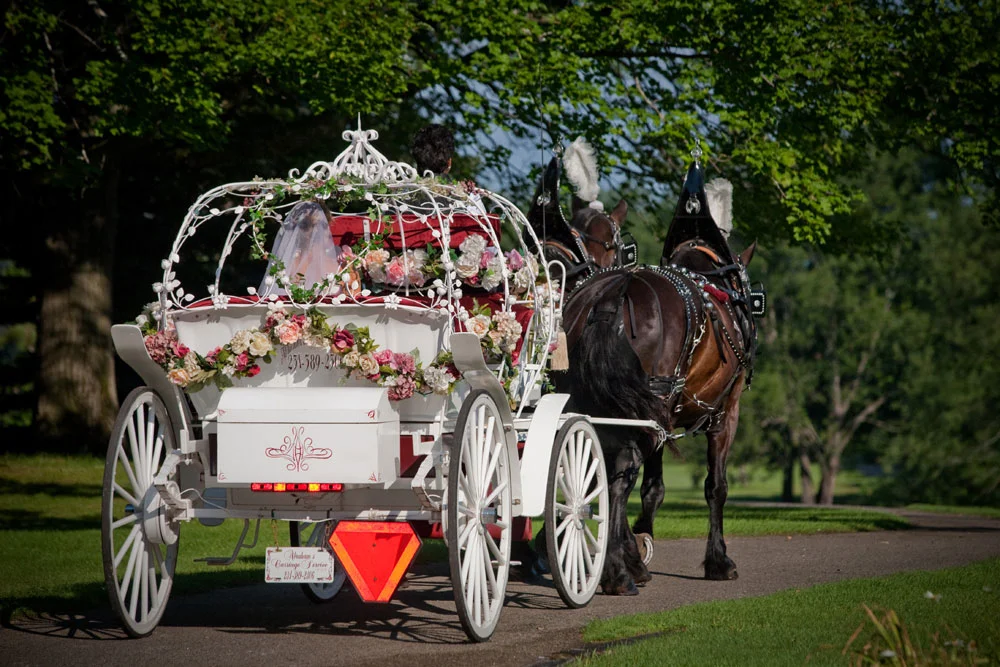 Abraham-Carriage.jpg