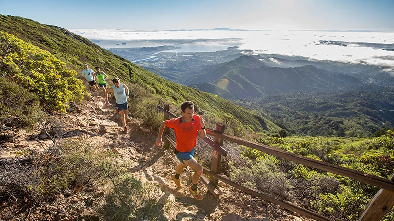 Mt-Tam.jpg