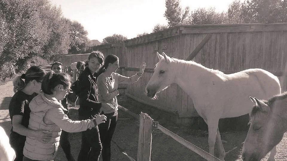Atelier cheval NB Final.jpg