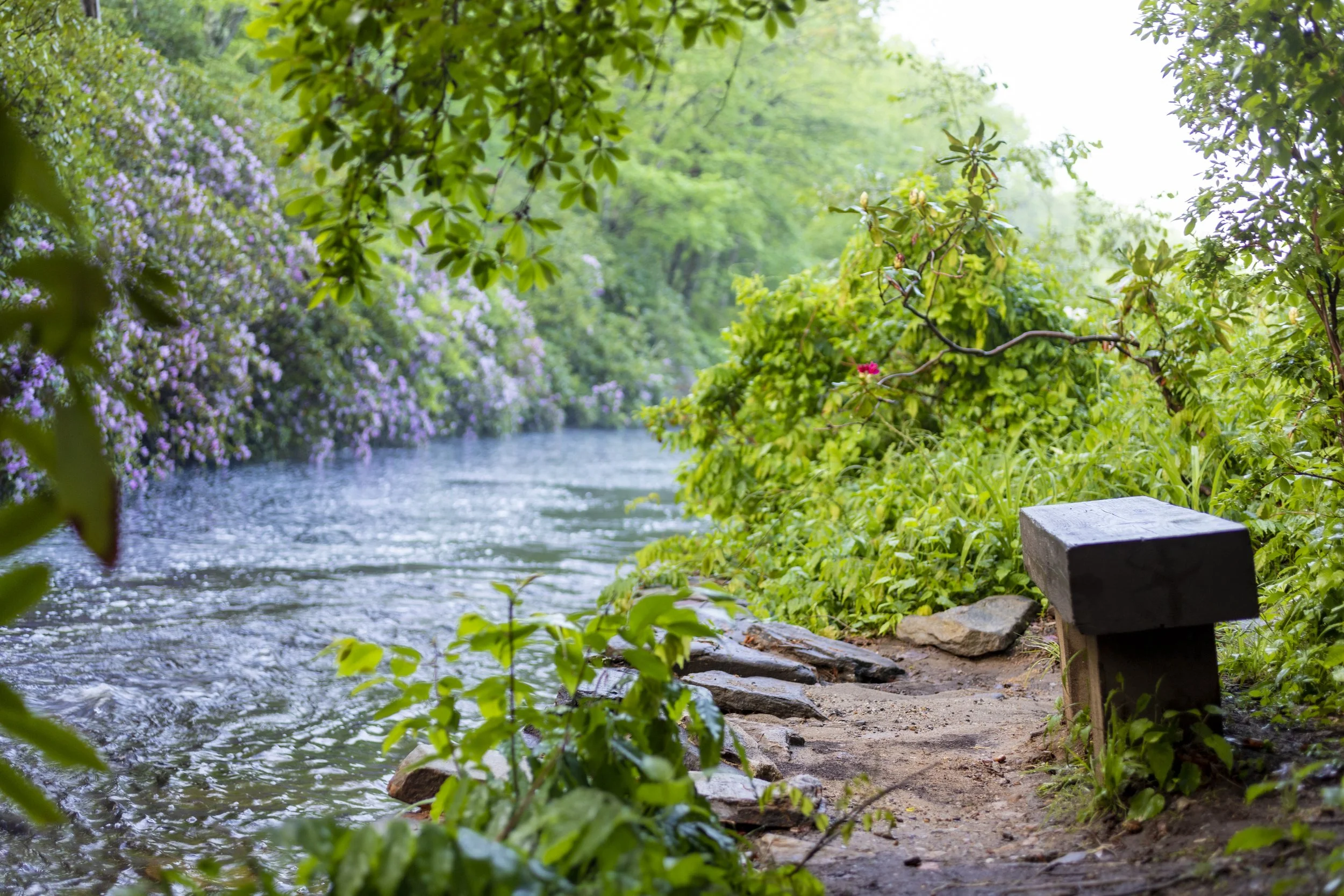 DCM_Moore State Park_052721-2722.jpg