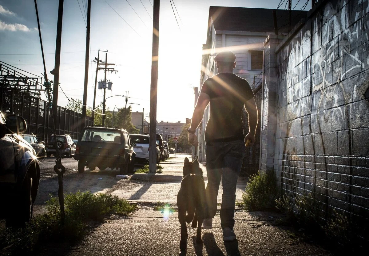 e collar for leash reactivity