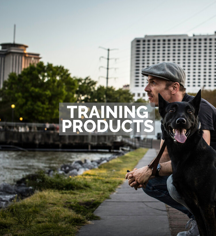good dog training