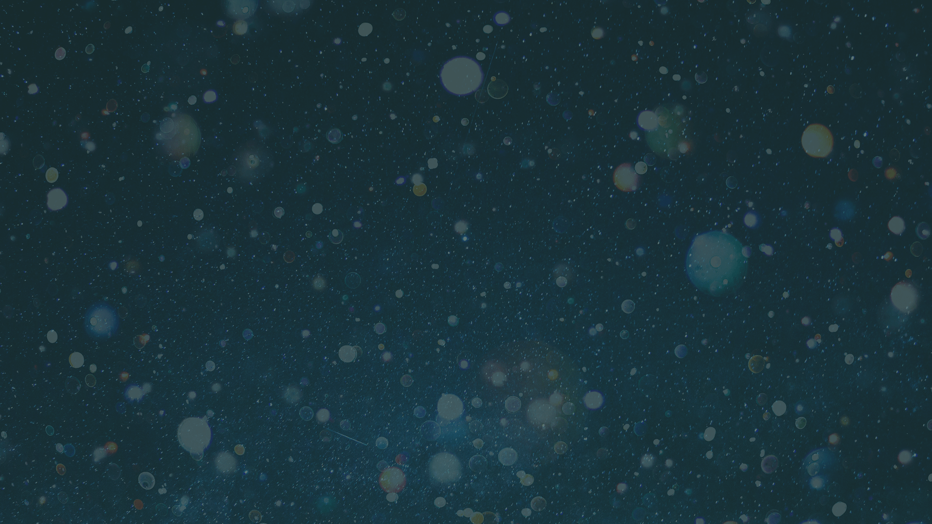 Christmas Eve at Woodlands Church