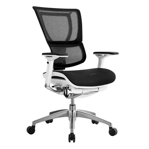 Quick Overview If chairs were living, breathing animals, subject to the same ruthless laws of natural selection other creatures are, the iOO would represent a pinnacle of evolution — a sleek, powerful product of generations of development and refinement, and an obsession with perfection. It is adjustable, yet effortlessly simple. All of its controls have been integrated into a single mechanism. The iOO adapts, overcomes and excels.