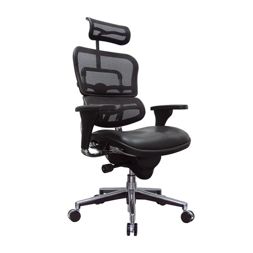 Quick Overview Aesthetics, form and function are merged seamlessly in a single design, and allows the Ergo chairs to be minutely adjusted to achieve unrivaled ergonomic fine tuning. A synchro-tilt mechanism with infinite lock, sliding seat, pneumatic height adjustment, and headrest are options on all Ergo models.