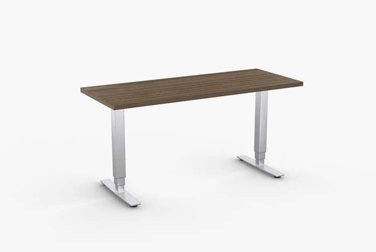 SpecialT Dual Pneumatic Height Adjustable Table 1,290.00