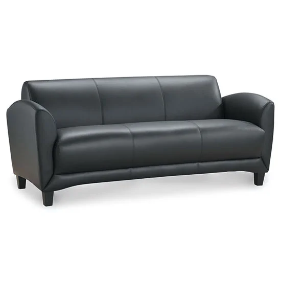 Quick Overview Crafted with contemporary styling to add a fresh touch to any home or office, this upholstered sofa offers coziness and style all in one. This sofa features top grain leather seating surfaces in your choice of two color options, with heavy duty spring construction for superior comfort. Sleek arms and a plush back provide added comfort, while the entire sofa is lifted upon wooden legs. Luxurious and stylish, this Manhattan Collection sofa is a wonderful choice for any lounge area.
